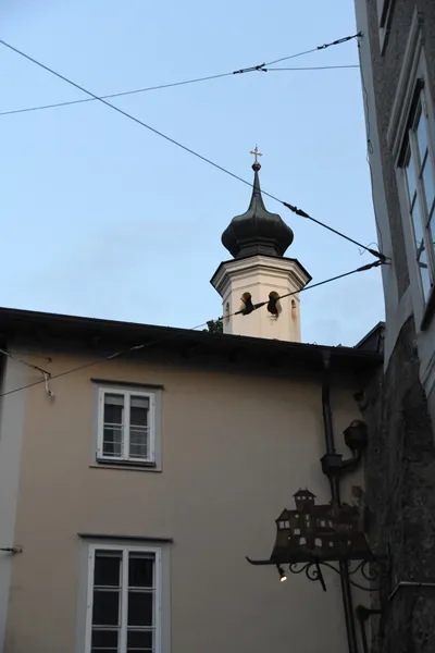 DSC_6086 (Large).JPG